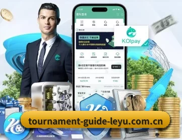 乐鱼体育 APP 深度功能