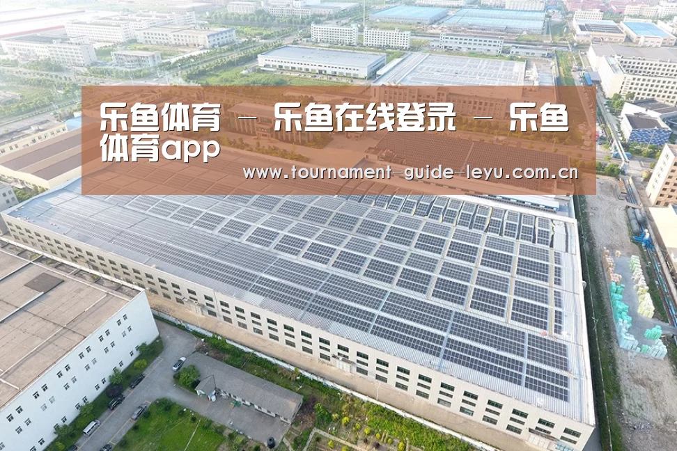 案例展示二