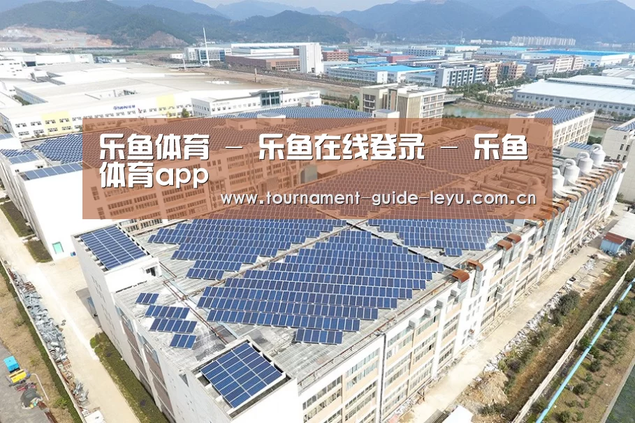 案例展示一