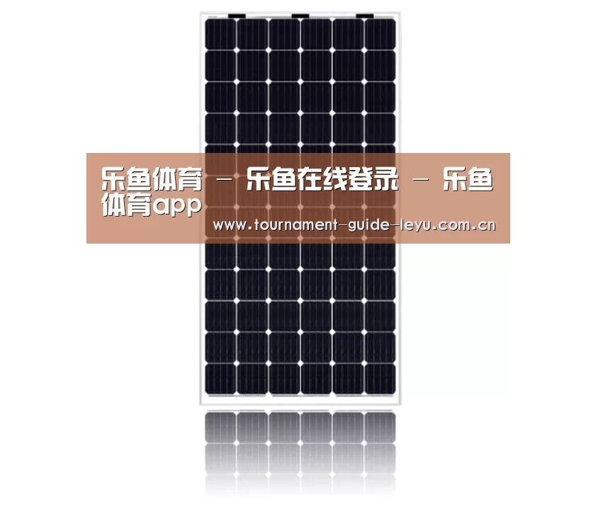 产品名称五