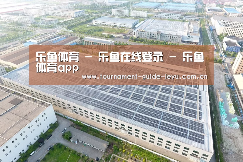 案例展示二