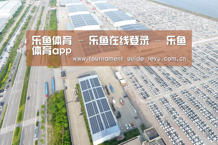 案例展示一