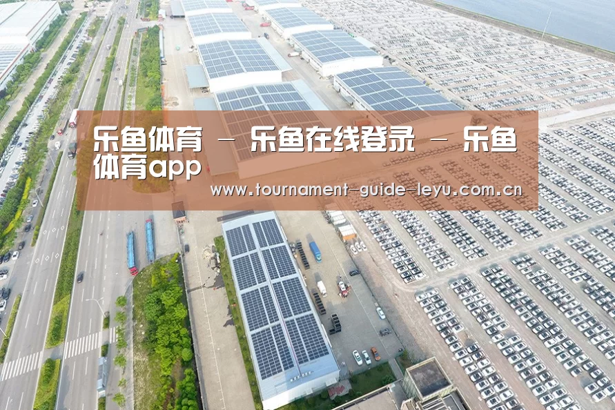 案例展示三